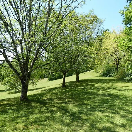 Gite Appartement, Sous Les Arbres Apartment